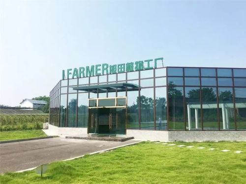 陜西旭田植物工廠在渝成功投產，總投資約800萬助力現代農業發展
